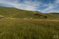 castelluccio 10 june 2013